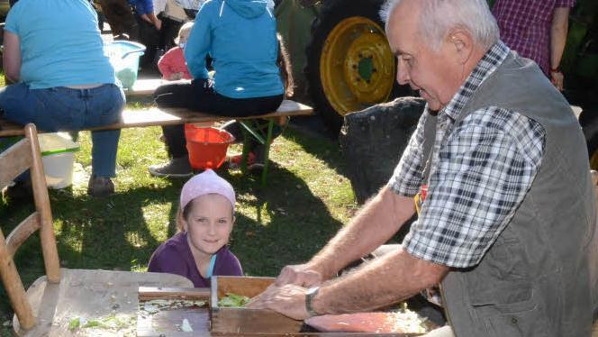 Antonia Fröba holt von Klaus Glatzer den in Scheiben gehobelten Weißkohl als Nachschub zum Einstampfen in die Fässer.