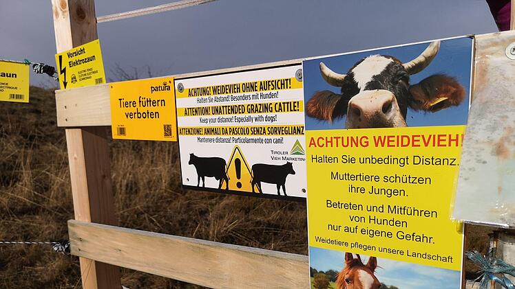 Nicht zu schmal, aber auch nicht zu breit darf der Durchgang zwischen den Gattern am Himmeldunkberg sein.  Das sorgt für Diskussionen. Foto: Marion Eckert