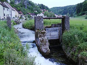 Das Trubach-Wehr in Wolfsberg.  Die Trubach wird hier künftig nicht mehr fließen.  Foto: Franz Galster