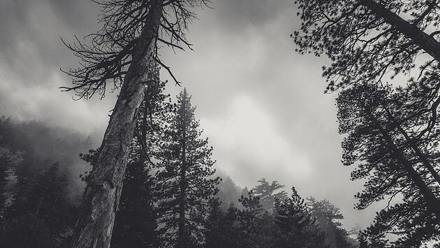 Lost Places in Franken