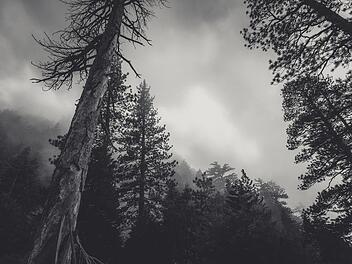Lost Places in Franken