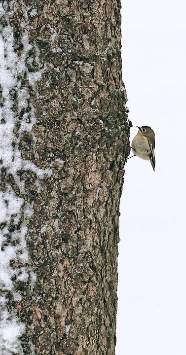 Die schönsten Winterfotos aus Bayreuth und Umgebung