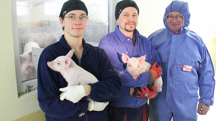 Marina und Reiner Herr mit zwei Wochen alten Ferkeln. Im Hintergrund links die trächtigen Mutterschweine. BBV-Kreisobmann Erwin Schwarz (rechts) musste als Betriebsfremder einen Schutzoverall tragen, aber nicht um sich, sondern die Tiere vor Keimen zu schützen. Foto: Friedwald Schedel