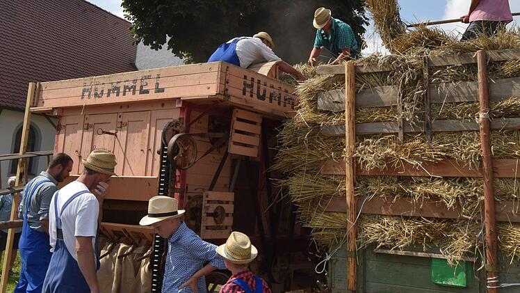 Rund zehn Mann stark ist die Dreschmannschaft, die an der Dreschmaschine arbeitet. Foto: Andreas Welz