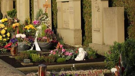 Symbolbild: Arne Dedert/dpa