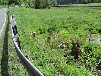 Rechts ist die Quelle zu sehen, die im Zuge des Baus der Untersteinacher Umgehung verschwand. Foto: Dieter Geyer