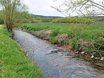 Das Wasserwirtschaftsamt hat die Aufweitung des Ufers an der Steinach bei Mannsgereuth vor so wie hier im Bild. Foto: Thomas Micheel