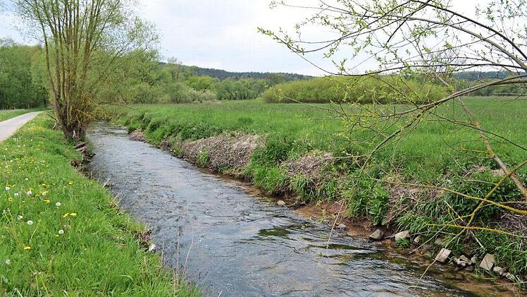 Das Wasserwirtschaftsamt hat die Aufweitung des Ufers an der Steinach bei Mannsgereuth vor so wie hier im Bild. Foto: Thomas Micheel