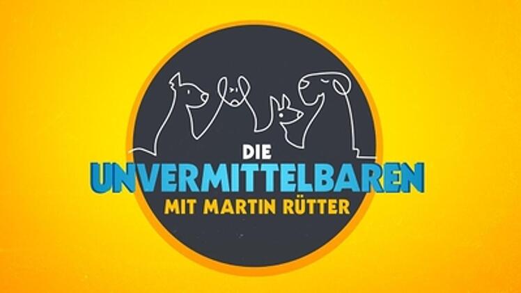 RTL zeigt sonntags um 19.10 Uhr eine neue Staffel von "Die Unvermittelbaren".