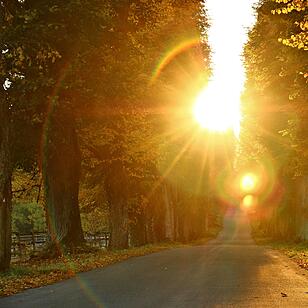 Herbst bei Schloss Greifenstein