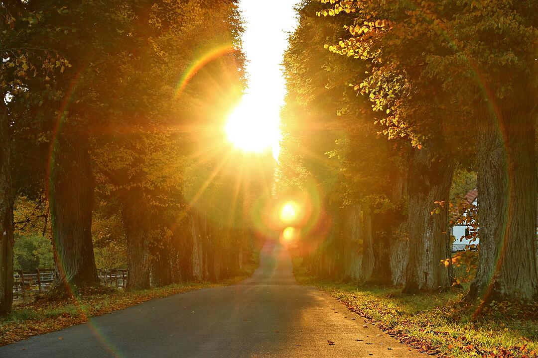 Herbst bei Schloss Greifenstein