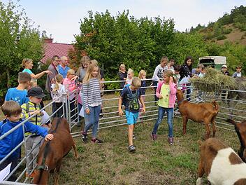 Draußen durften die Kinder zu den Ziegen ins Gehege.  Fotos: Vanessa Gessner