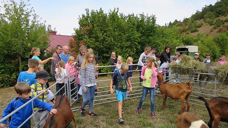 Draußen durften die Kinder zu den Ziegen ins Gehege.  Fotos: Vanessa Gessner