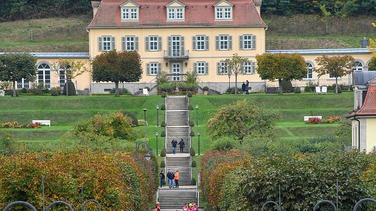 Pinklauf 2019 in Bad Brückenau Foto: Ronald Rinklef