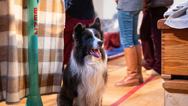 Der Hund mit Namen "Hundt" (Elliot) hat eine wichtige Aufgabe am Weihnachtsabend: Er spielt den Kuppler.