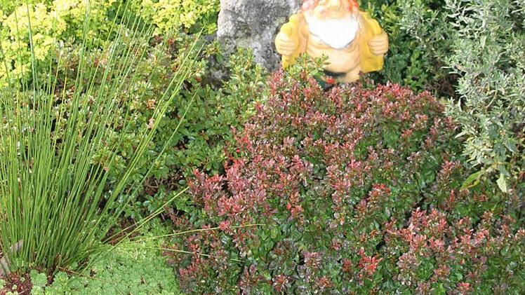 Sogar ein Exhibitionist ist unter den Gartenzwergen.