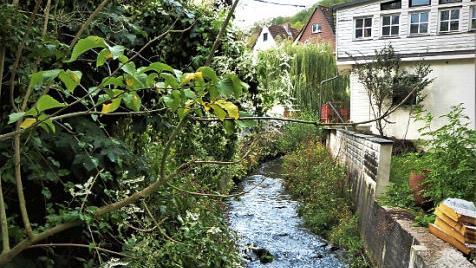 Die zunehmende Verlandung von Koser und Schorgast wurde bei der Senioren-B&uuml;rgerversammlung angesprochen. Foto: Werner Rei&szlig;aus