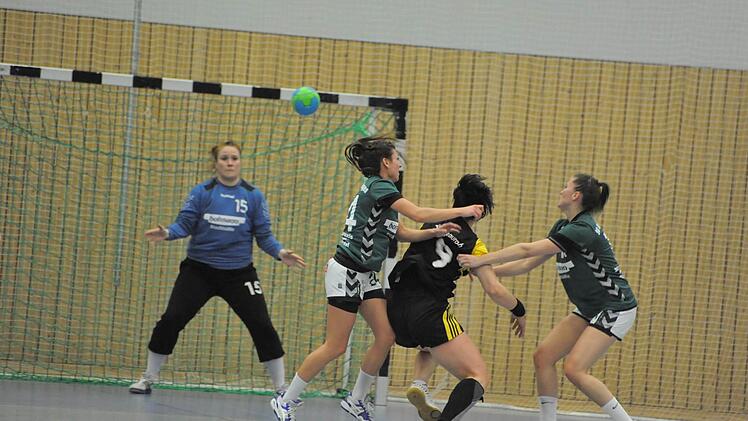 Sensationell: Mit 32:22 gewinnt die SG Garitz/Nüdlingen (grüne Trikots) gegen den Tabellendritten aus Herzogenaurach. Foto: Hopf