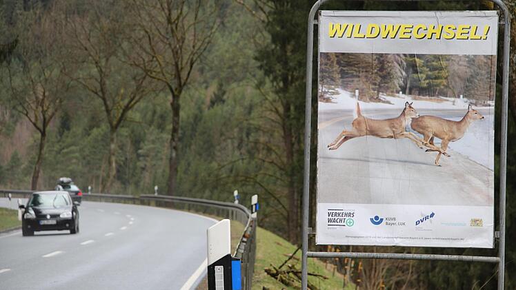 Die Verkehrswacht warnt an besonders gefährdeten Streckenabschnitten vor einer Gefahr von Wildwechseln.