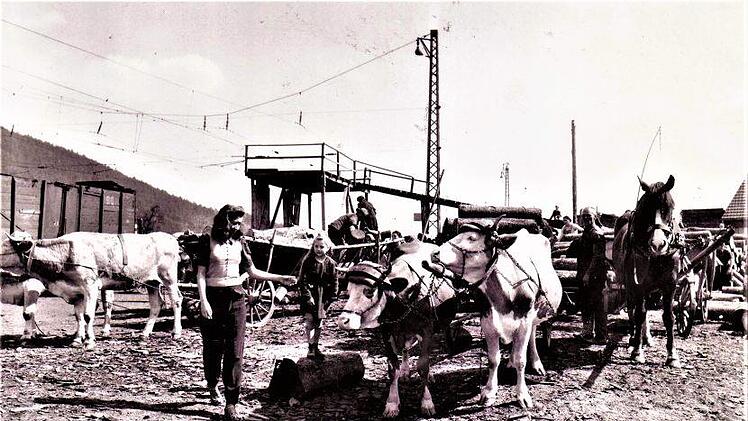 Oberhalb des Neuseser Bahnhofs entstand nach Kriegsende auf dem Holzverladeplatz dieses hochinteressante Bild, fotografiert am 16. April 1945 von einem amerikanischen Kriegsreporter. Repro: Gerd Fleischmann