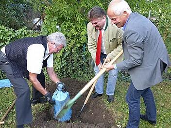Im Schweiße ihres Angesichtes befreiten (von links) Simon Gabel, Landrat Klaus Peter Söllner und Rektor Michael Pfitzner die Kerwa aus ihrem dunklen kalten Verlies. Foto: Klaus-Peter Wulf