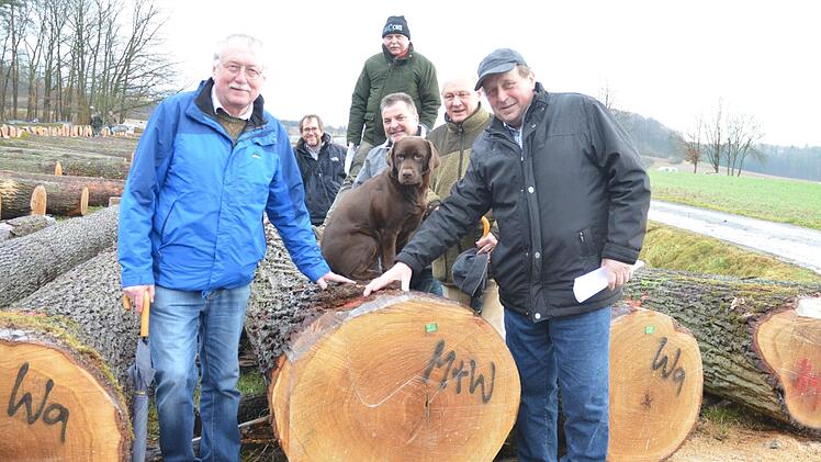 Foto mit Braut und Hund. Der teuerste Stamm der Submission war eine Eiche aus dem Wald der Korporation Roßfeld. Sie gefällt (von links): Dietmar Westhäuser, Ralf Keller, Manfred Herter, Wolfgang Schultheiß, Hündin Ella, Albert Schrenker und Herrmann Wüst. Rainer Lutz