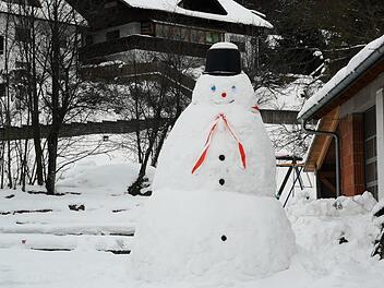 Die Familie Eußner in Haselbach hat einen dreieinhalb Meter hohen Schneemann im Hof  stehen. Foto: Marion Eckert