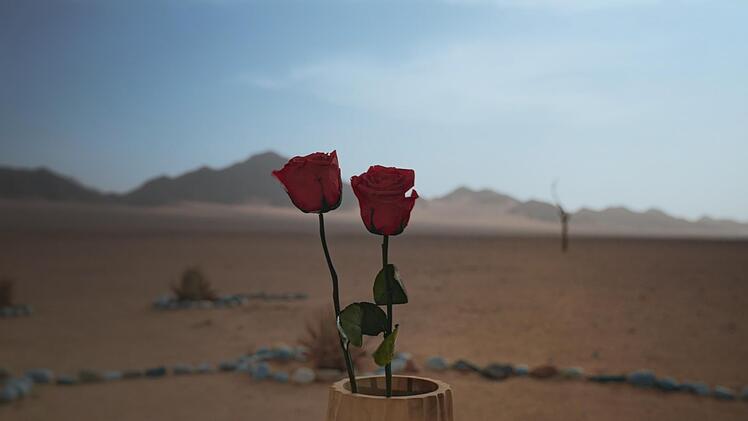 Single-Frau Paulina nimmt sich selbst aus dem Rosen-Rennen.