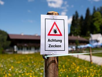 Zeckengefahr steigt mit Frühlingstemperaturen Zeckengefahr steigt mit Frühlingstemperaturen