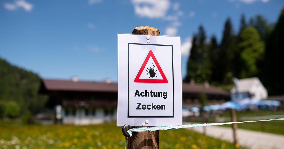 This is how many deaths there are in Germany due to ticks