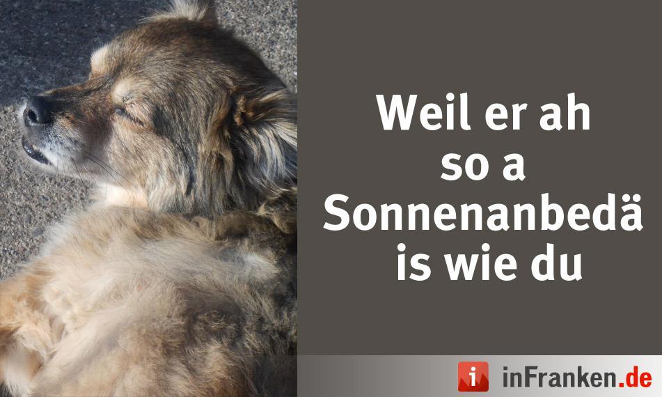 Foto: Ulrike Pondelicek