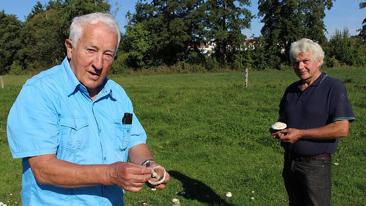 Pilze wie hingesät zeigen sich auf der Wiese von Georg Kaiser (rechts). In der Hand hält Biologe Krautblatter einen Wiesenchampignon.   Foto: Evi Seeger