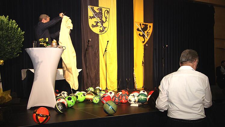 Fünfzig Bälle für die Kinder und Jugendlichen