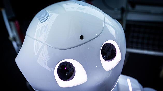 Roboter am KI-Zentrum Rostock