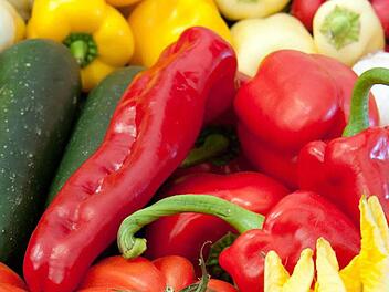 Gem&uuml;se aus dem Knoblauchsland ist der Schwerpunkt der Busfahrt 5.