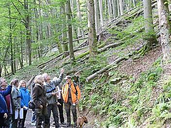 Zu einer Exkursion ins Naturwaldreservat bei Friedersdorf hatte Forstdirektor Michael Schneider (links) eingeladen. Stefan Hanna-Bökkerink (Dritter von links) berichtete vom Artenreichtum in der Tier- und Pflanzenwelt. Auch stellvertretender Landrat Gerhard Wunder (Dritter von links) und Bürgermeister Hans Pietz (Zweiter von links) zeigten sich beeindruckt.  Foto: Karl-Heinz Hofmann