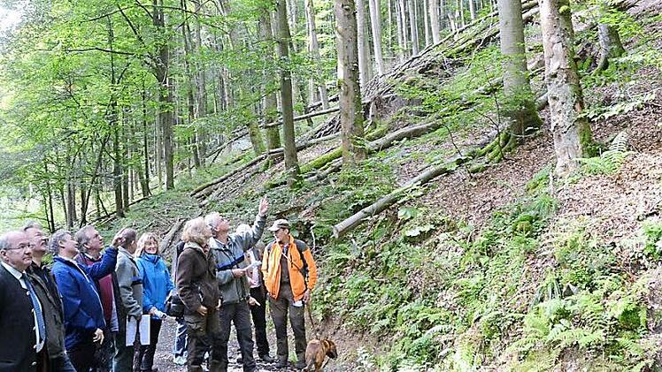 Zu einer Exkursion ins Naturwaldreservat bei Friedersdorf hatte Forstdirektor Michael Schneider (links) eingeladen. Stefan Hanna-Bökkerink (Dritter von links) berichtete vom Artenreichtum in der Tier- und Pflanzenwelt. Auch stellvertretender Landrat Gerhard Wunder (Dritter von links) und Bürgermeister Hans Pietz (Zweiter von links) zeigten sich beeindruckt.  Foto: Karl-Heinz Hofmann