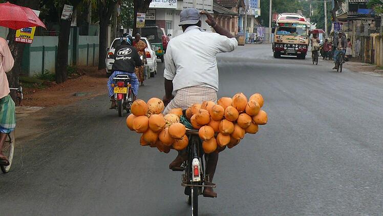 Mit seinem Fahrrad transportiert dieser Mann seine wertvolle Fracht: Kokosnüsse. Für umgerechnet 20 bis 30 Cent kann man sich an der köstlichen Kokosmilch einer solchen Nuss erfrischen.