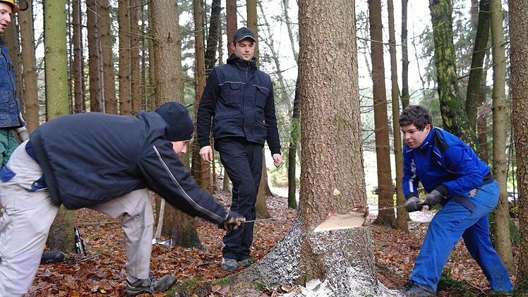 Simon Möller (rechts) war heuer zum ersten Mal beim Fällen des Kirmes-Baumes dabei, hier mit (von links) Lukas Kraus und Jürgen Scherner.