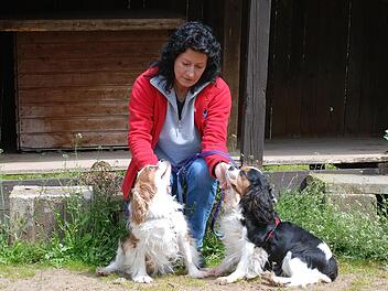 Kitzinger Tierheim sucht neues Zuhause