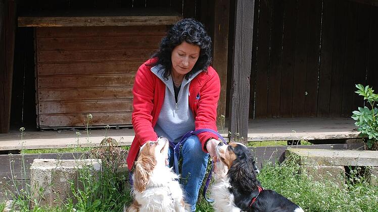 Kitzinger Tierheim sucht neues Zuhause