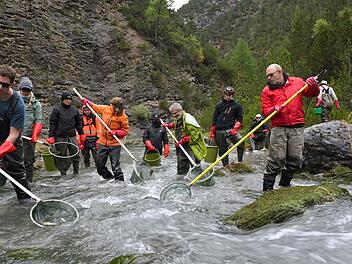 12.000 Fische werden umgesiedelt