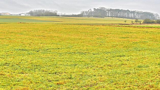 Das Gel&auml;nde &ouml;stlich von Dormitz bei der Seelaufuhre, auf dem ein M&uuml;nchner Unternehmen einen Solarpark errichten m&ouml;chte.