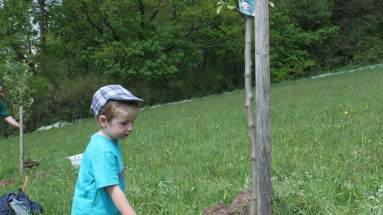 Philipp Mitter weiß, was Bäumchen brauchen.