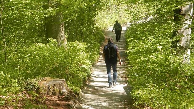 Wanderer in der Fr&auml;nkischen Schweiz laufen durch das frische Gr&uuml;n eines Buchenwaldes.  Foto: Reinhard L&ouml;wisch