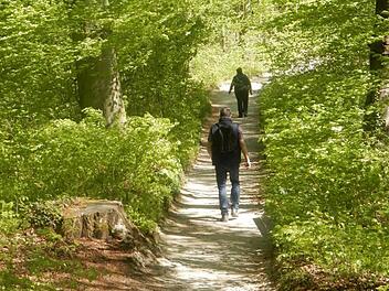 Wanderer in der Fränkischen Schweiz laufen durch das frische Grün eines Buchenwaldes.  Foto: Reinhard Löwisch
