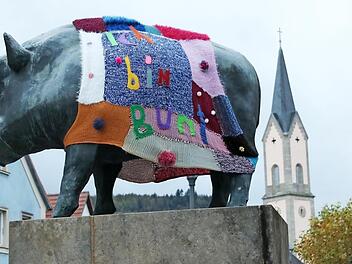 Den Stadträten von CSU, Jungen Bürgern und der Umlandfraktion ist die Amtsführung von Bürgermeisterin Meyer (NLE) "zu bunt" geworden.