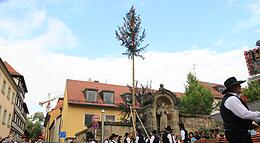 Vorschaubild
