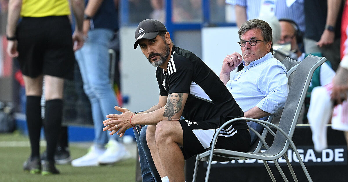 1. FCN Nürnberg meldet Vollzug Cristian Fiel ist neuer Cheftrainer