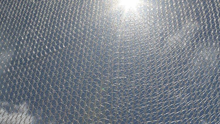 Sommersonne in Bamberg. Foto: Barbara Herbst